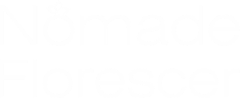 nomade logo branco pequeno.png